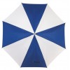 Automatinis  lietsargis